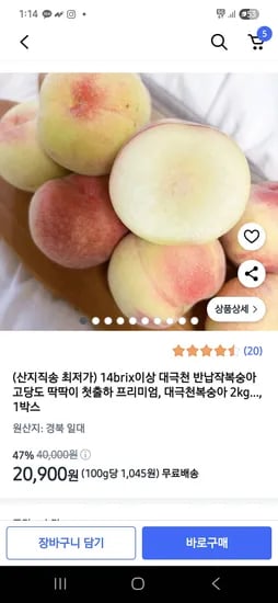 쿠팡)14brix이상 대극천 반납작복숭아 2kg 16-20과 20,900원