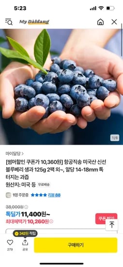 톡딜)항공직송 미국블루베리 생과 14-18mm  125g 2팩 10260원 무배