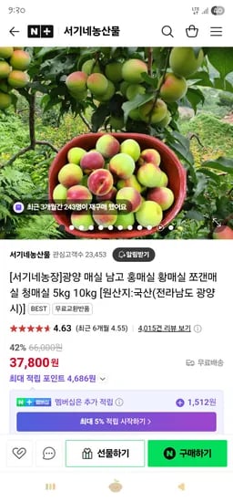 서기네농산물) 광양 매실 황매실(홍매실) 5kg(왕왕특) 28,000원 무배