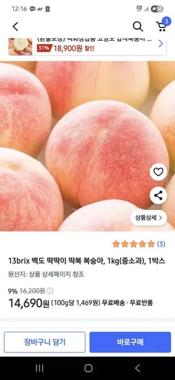 쿠팡)13brix 백도 딱딱이 딱복 복숭아 1kg 14,690원
