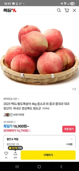 톡딜) 2025 백도/황도복숭아 4kg 중소과 16,900원+무료배송
