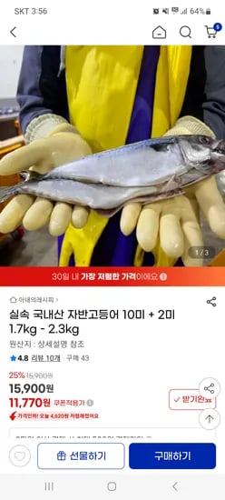지마켓) 실속 국내산 자반고등어 10미 + 2미 1.7kg - 2.3kg 11770원 무배