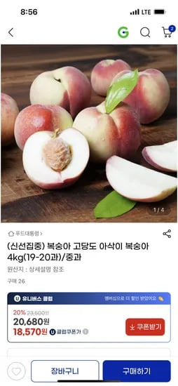 지마켓)고당도 아삭이 복숭아 4kg(19-20과)/중과 19,270원