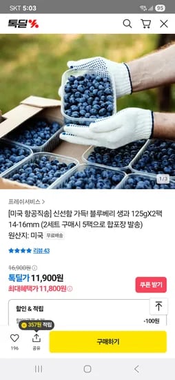 카카오)블루베리 생과 125g*2팩 11800원 무배