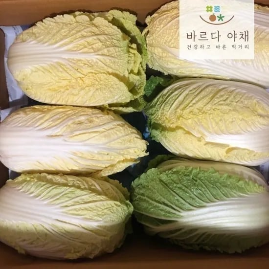 옥션) 알배기배추 쌈배추 6포기 12170원