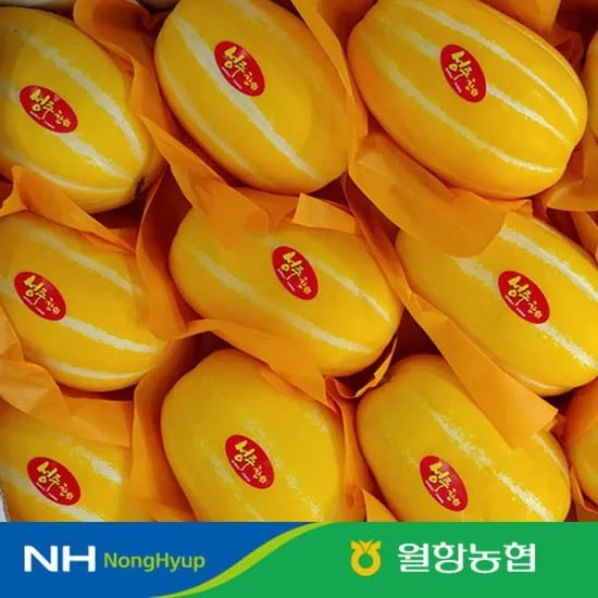 롯데온) 성주꿀참외 특/상 2-10kg 골라담기 8,460원 무배