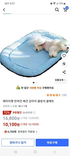 쿠팡) 에이치펫 반려견 애견 쿨방석 쿨매트 10100원