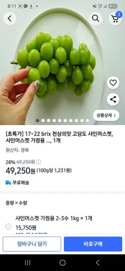 쿠팡)샤인머스캣 가정용 8-10수 4kg 49,250원
