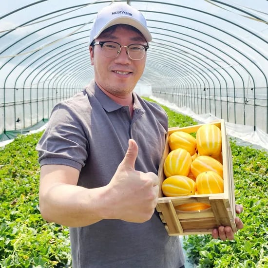 네이버) 에코푸드 성주참외 10kg 9,900원 무배