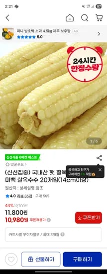 지마켓)신선집중) 국내산 햇 찰옥수수 괴산 미백 찰옥수수 20개입(14cm이상) 10980원
