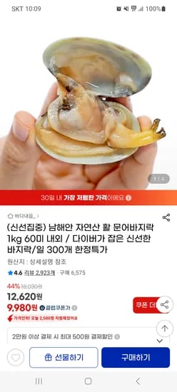 지마켓) 남해안 자연산 활 문어바지락 1kg 60미 내외 유클 9980원 무배
