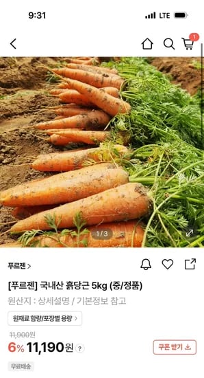 현대몰) 푸르젠 국내산 흙당근 5kg 중 정품 8,949원