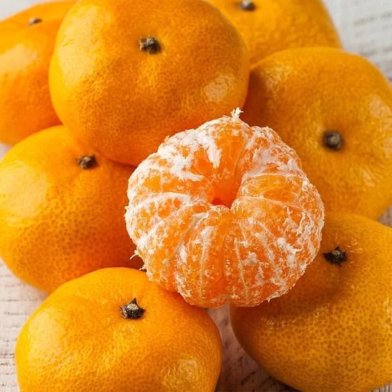 롯데온) 제주 하우스 가정용 감귤 2kg 11750원