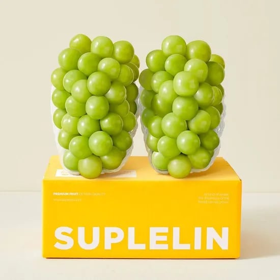 롯데온) 실속형 국내산 샤인머스켓 1kg 2~3수 12170원 무배