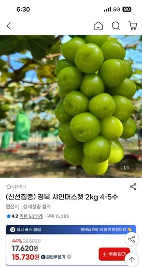 지마켓) 경북 하우스 샤인머스켓 2kg 4-5수 15,730원 핫딜
