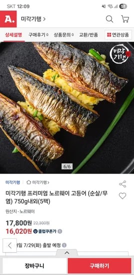 옥션)미각기행 프리미엄 노르웨이 손질 고등어 5팩 17,800원 무배