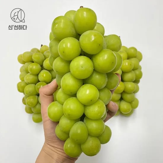 11번가)달콤한 샤인머스캣 2kg 내외 3-4송이 17880원 무료배송
