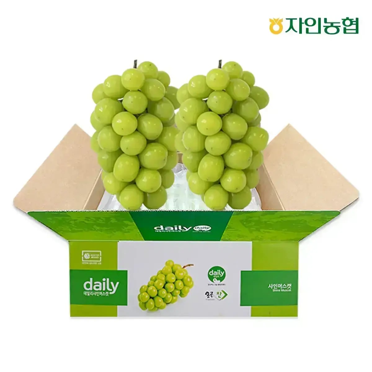 11번가) 자인농협 데일리 샤인머스켓 1.5kg 2-3송이 농협정품 16,910원