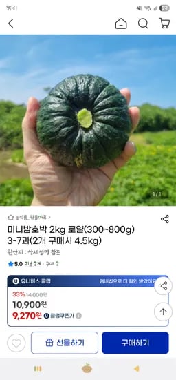 지마켓) 미니밤호박 로얄과 2kg(3-7과) 9,270원 무배(2개 구매시 500g증정)