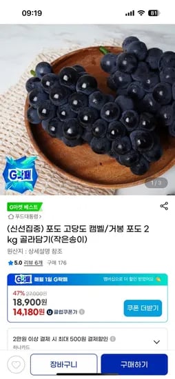 고당도 캠벨/거봉 포도 2kg