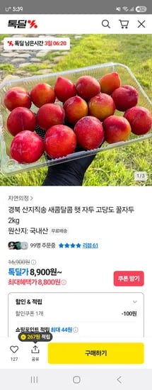 햇자두 2kg