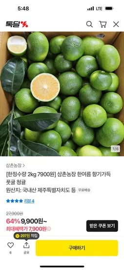 제주 풋귤 청귤 2kg