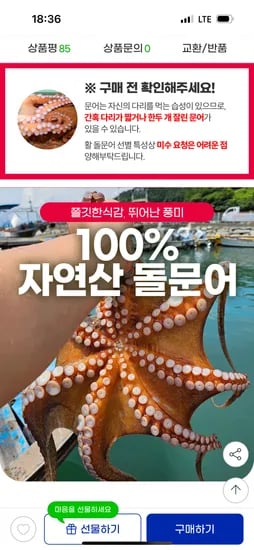 자연산 돌문어 1kg 1~3미