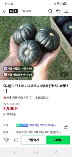 단호박 미니 밤호박 1kg
