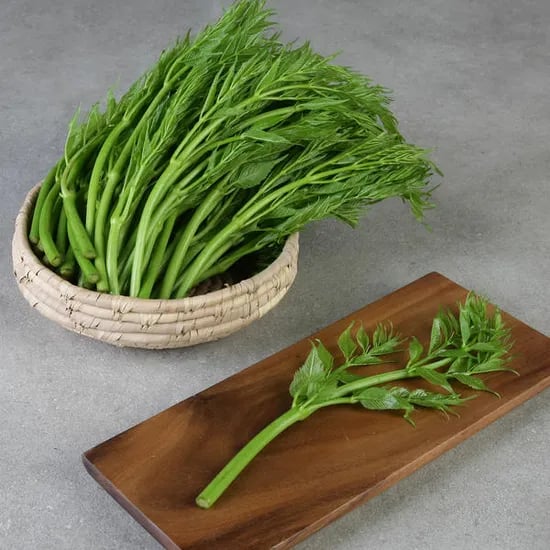 모시촌 두릅 1kg