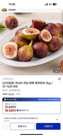 국내산 전남 함평 홍무화과 1kg 10-16과 내외