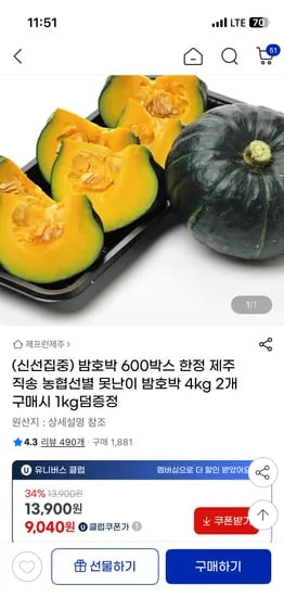 제주 못난이 밤호박 4kg