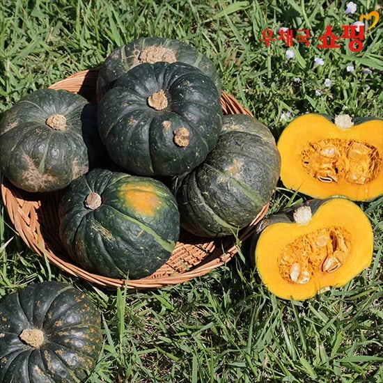 제주 못난이 미니단호박 2kg