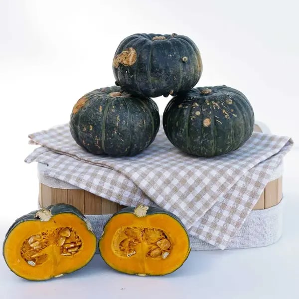 제주 미니단호박 가정용 못난이 4kg