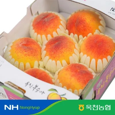 옥천 부드러운 복숭아 1.8kg 5-8내