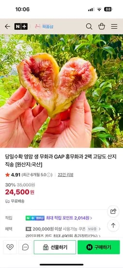 영암 홍무화과 1kg