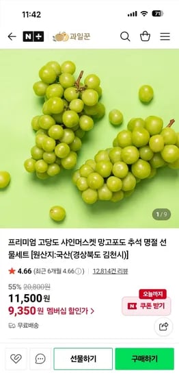 과일꾼 샤인머스켓 가정용 1kg 2수