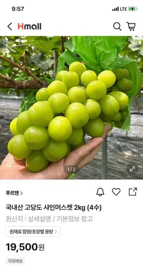 샤인머스켓 2kg 총 4수