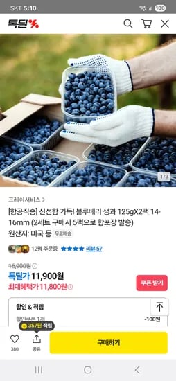 블루베리 생과 125g*2팩