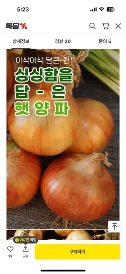 국내산 햇 양파 5kg