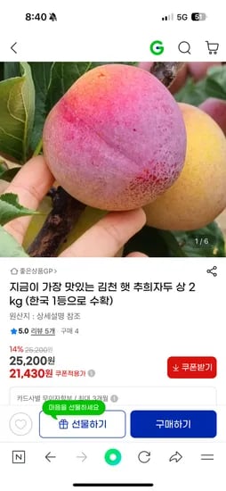 김천 추희자두 상 2kg