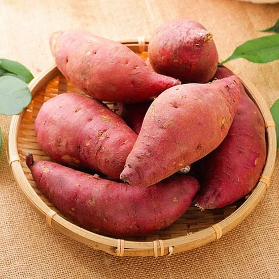 해남 꿀고구마 한입 3kg