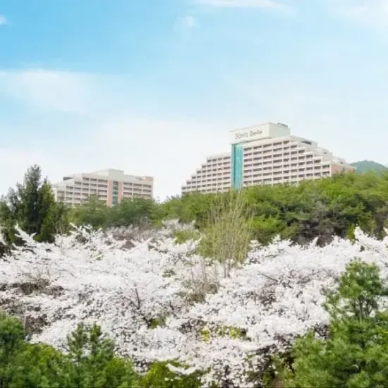 소노벨 단양 3~4인 패키지