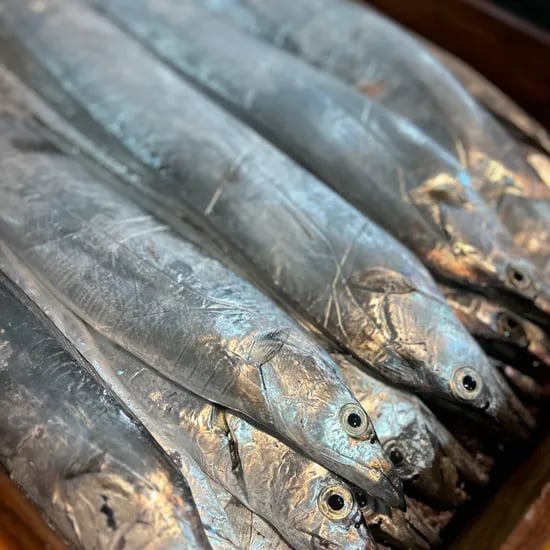 제주 은갈치 급냉 3미 9토막 무염 800g ₩26,320
