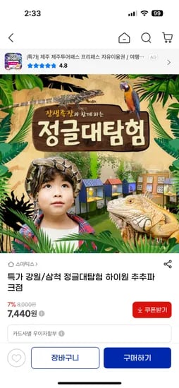 하이원 정글대탐험