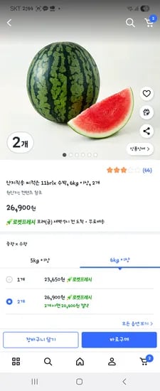 씨 적은 수박 11birx 6kg이상 2개 26,900원