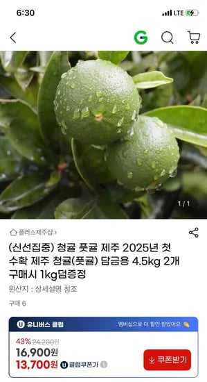청귤 4.5kg