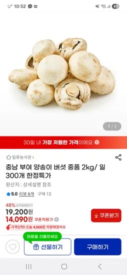 충남 부여 양송이버섯 2kg