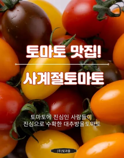 산지직송 칼라혼합 대추방울토마토 1kg