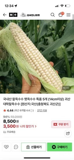 찰옥수수 5개