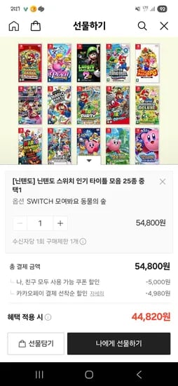 닌텐도 칩